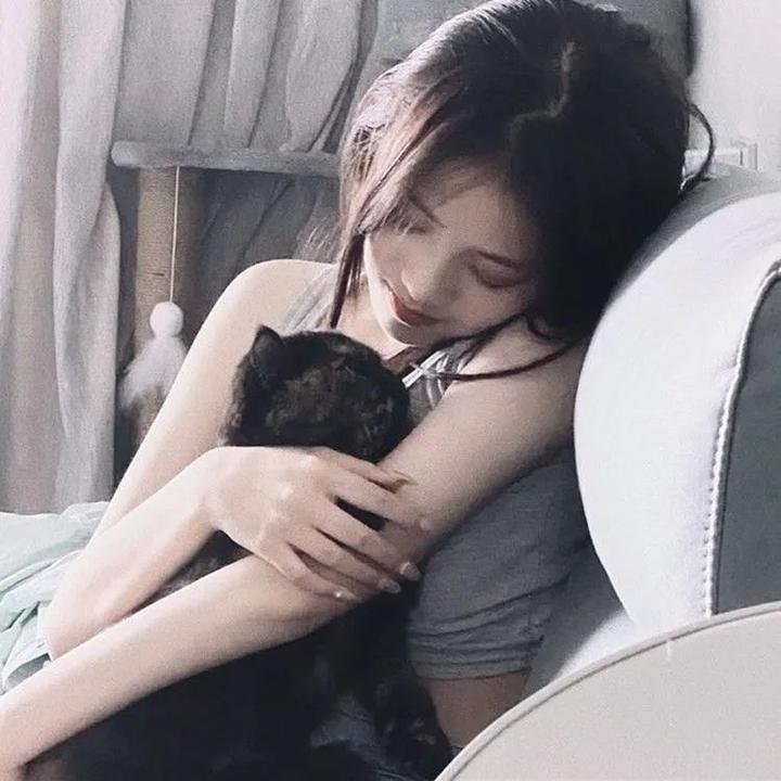 拜访森林